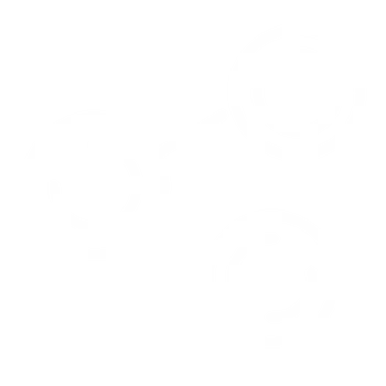 shape, icon